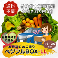 ★★名古屋事務所引取り限定★★【定期便】ベジフルBOX・LL（お野菜てんこ盛り）