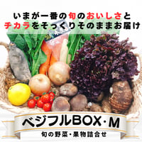 ベジフルBOX・M（定番・おススメ）