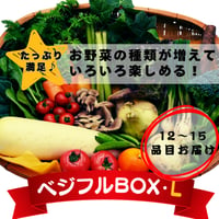 ベジフルBOX・L（たっぷりサイズ）