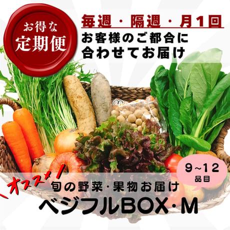 【定期便】ベジフルBOX・M（量も種類もちょうどイイ！）