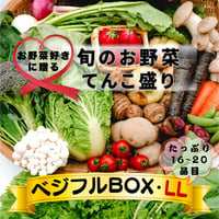 ベジフルBOX・LL（お野菜てんこ盛り）