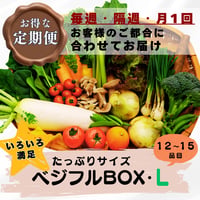 【定期便】ベジフルBOX・L（たっぷりサイズ）