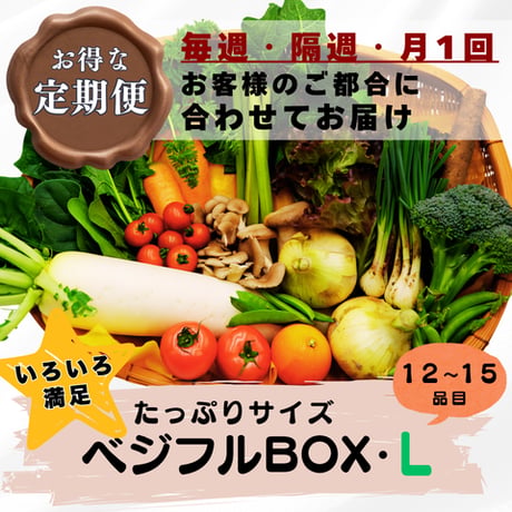 【定期便】ベジフルBOX・L（たっぷりサイズ）