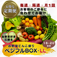 【定期便】ベジフルBOX・LL（お野菜てんこ盛り）