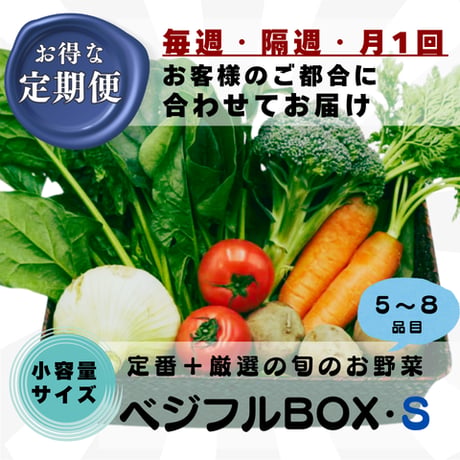 【定期便】ベジフルBOX・S（小容量サイズ）