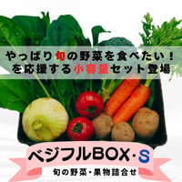 ベジフルBOX・S（小容量サイズ）