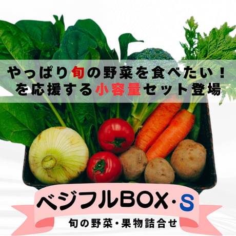 ベジフルBOX・S（小容量サイズ）