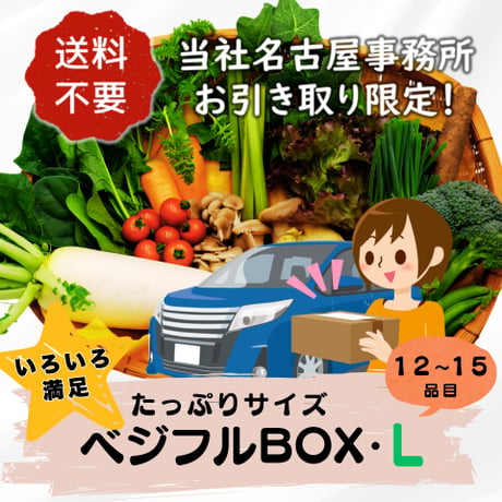 ★★名古屋事務所引取り限定★★【定期便】ベジフルBOX・L（たっぷりサイズ）