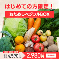 おためしベジフルBOX（初めてのお客様限定）