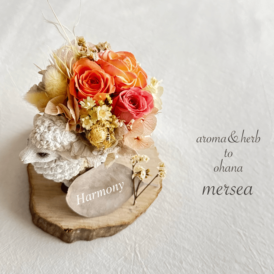 6ab21fcb53a2d21334e26a52