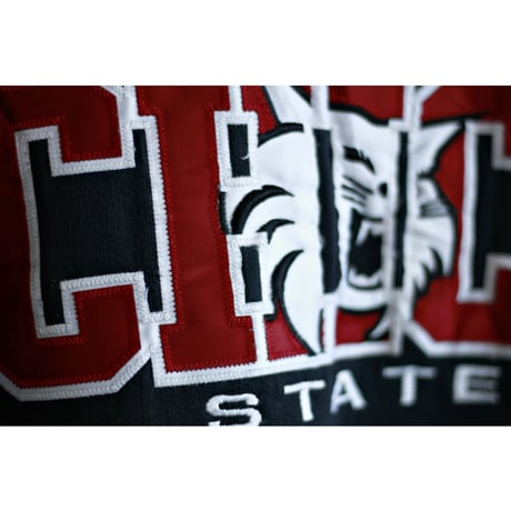 “Russell Athletic” Chico State Embroidery Hoodie