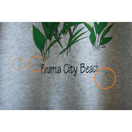 1990s〜 Hanes Egret Graphic Print Sweatshirt