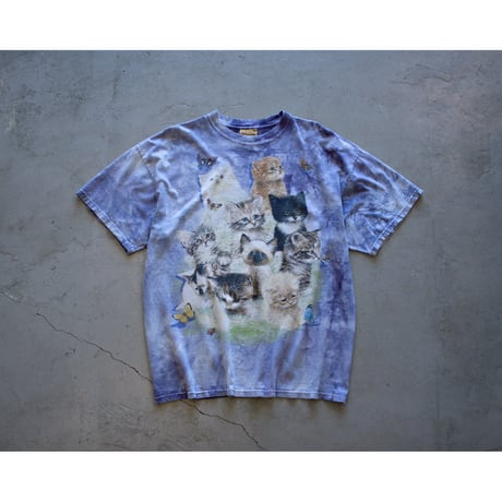 “The Mountain” Fancy Kittens Tie Dyed Tshirt