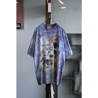 “The Mountain” Fancy Kittens Tie Dyed Tshirt