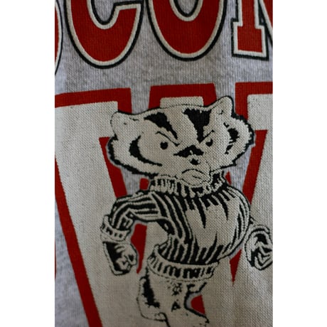 1990s Tultex “Wisconsin Univ.” Logo Print Sweatshirt / Made in USA