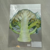 夕凪文具店「クリアファイル A4 ブロッコリー」by荒井真紀