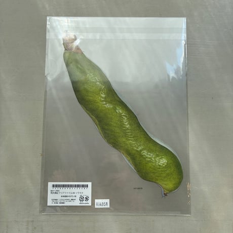 夕凪文具店「クリアファイル A4 ソラマメ」by荒井真紀