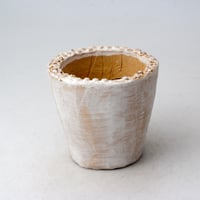 陶器製（２号ポット相当）多肉植物の欲しがる植木鉢　 AAA-3234