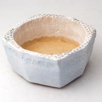 ・陶器製　多肉植物の欲しがる植木鉢 AQSScd -ブルー3246