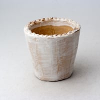 陶器製（２号ポット相当）多肉植物の欲しがる植木鉢　 AAA-3235