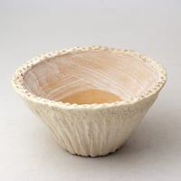 ・陶器製　多肉植物の欲しがる植木鉢 CCc-イエロー3242