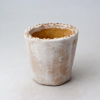 陶器製（２号ポット相当）多肉植物の欲しがる植木鉢　 AAA-3233