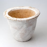陶器製（3.5号ポット相当）多肉植物の欲しがる植木鉢 OPL-3023