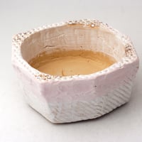 ・陶器製　多肉植物の欲しがる植木鉢 AQSScd -ピンク3247