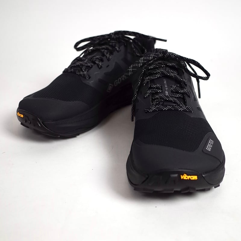 ALTRA/LONE PEAK 9+ GTX mens | SUNDAY web STORE