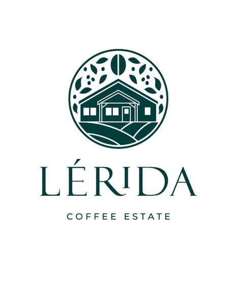 【coming soon】100g Panama Lérida Catuai Washed