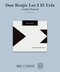 【coming soon】100g Panama Don Benjie Geisha Natural Lot 3 El Velo