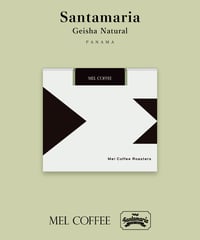 100g Panama Santamaria Geisha Natural