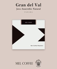 【coming soon】100g Panama Gran del Val Java Anaerobic Natural