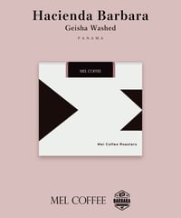 【coming soon】100g Panama Hacienda Barbara Geisha Washed