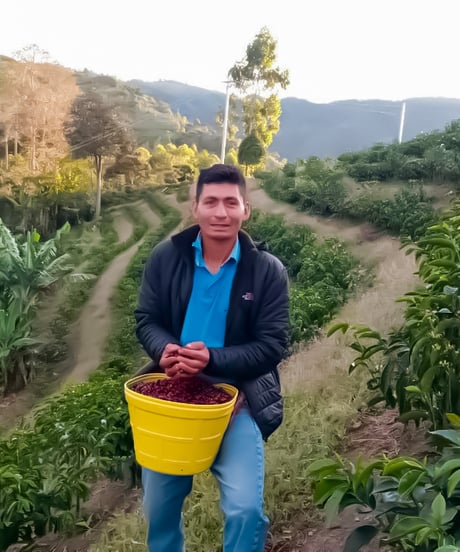 100g Peru La Pomarosa Geisha Lavado