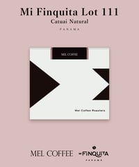 100g Panama Mi Finquita Catuai Natural Lot 111