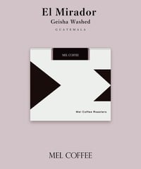 【coming soon】100g Guatemala El Mirador Geisha Washed
