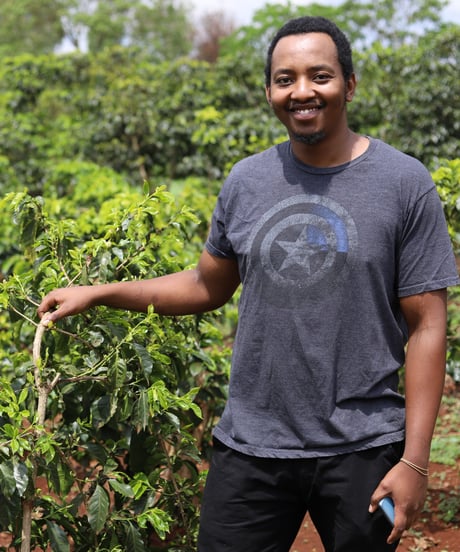 【coming soon】200g Kenya Maguta CM Natural Indigo Lot 275