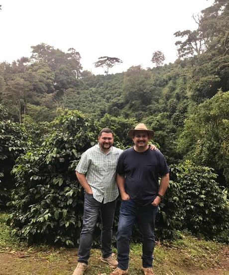 【coming soon】100g Panama Abbraccio by Altieri Geisha Washed