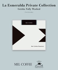 100g Panama La Esmeralda Private Collection Geisha Fully Washed