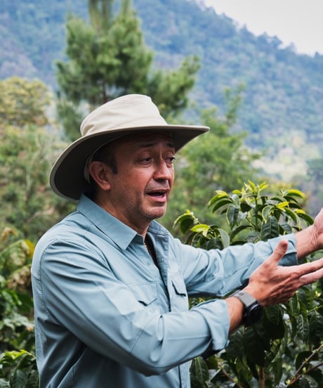 【coming soon】200g Guatemala La Merced Bourbon Natural