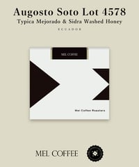 100g Ecuador Augosto Soto Typica Mejorado & Sidra Washed Honey Lot 4578
