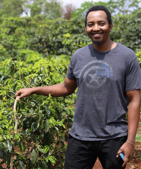 【coming soon】200g Kenya Maguta Nitrogen Natural Amber Comp Lot 506