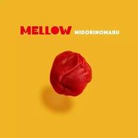 MIDORINOMARU / MELLOW [LP]
