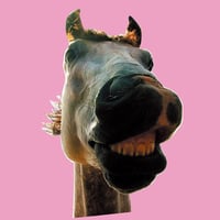 9/30 - THE HIGH-LOWS / Do!! The★MUSTANG [2LP]