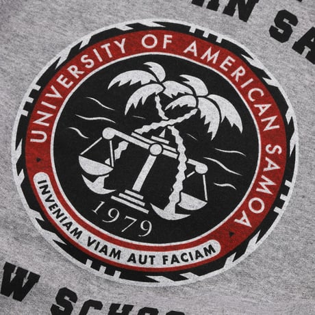 アメリカ領サモア大学トレーナー