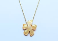 🇫🇷【Nature Bijoux】FIORIA/ネックレス