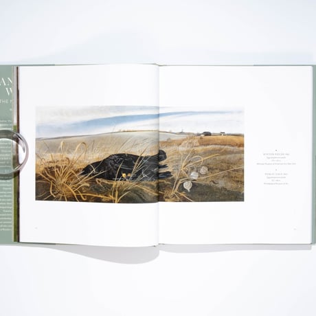Andrew Wyeth: The Masterworks
