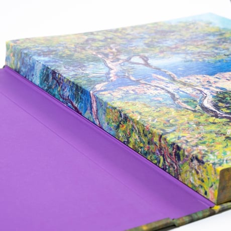 Monet: Beyond the Horizon