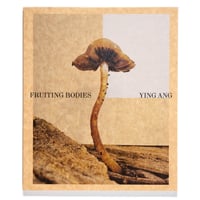 Ying Ang – Fruiting Bodies